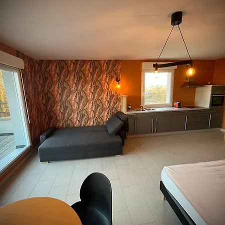 Studio Les Saules Wettolsheim
