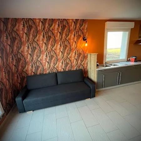 דירה Studio Les Saules Wettolsheim